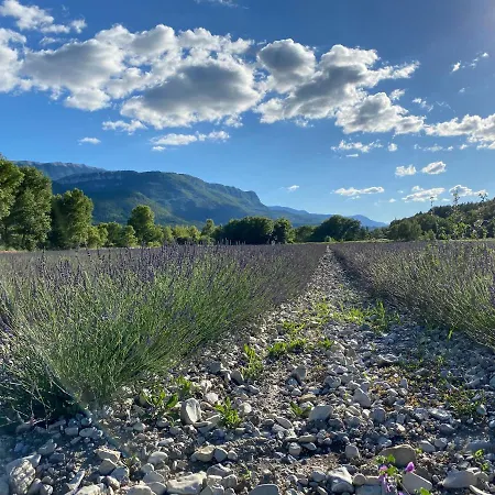 Gite En Haute Provence Montfroc Buitenkant foto