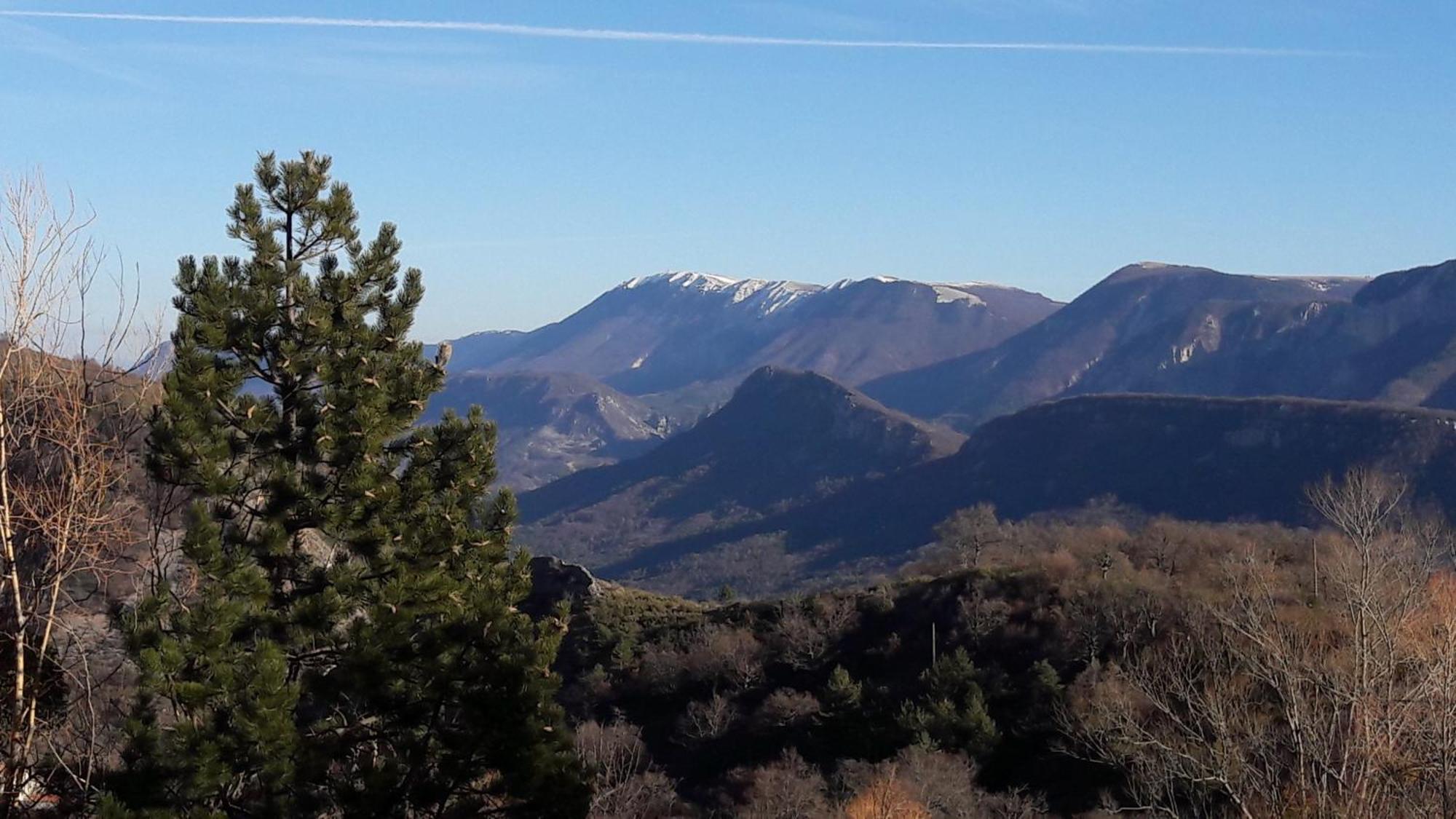 En Haute Provence * Montfroc