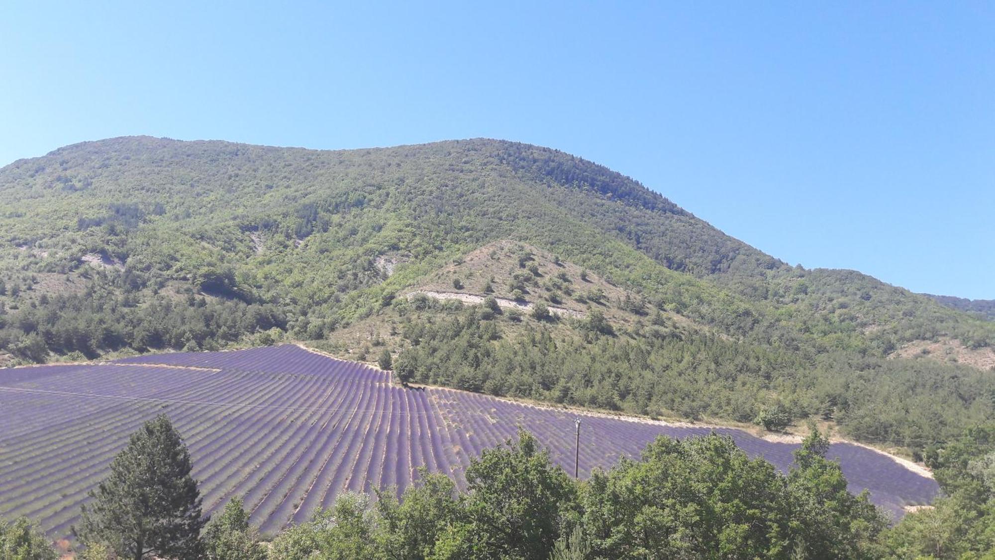 Vakantiehuis En Haute Provence